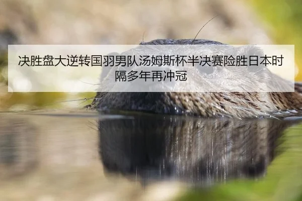 决胜盘大逆转国羽男队汤姆斯杯半决赛险胜日本时隔多年再冲冠