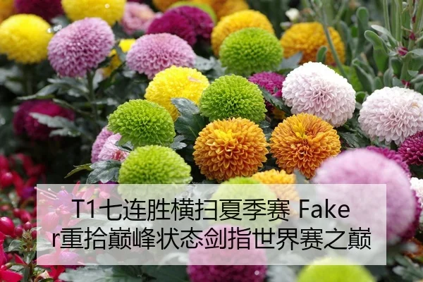qi-lian-sheng-heng-sao-xia-ji-sai-zhong-shi-dian-feng-zhuang-tai-jian-zhi-shi-jie-sai-zhi-dian-2-337.jpg