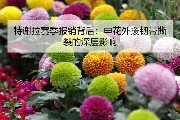 特谢拉赛季报销背后：申花外援韧带撕裂的深层影响